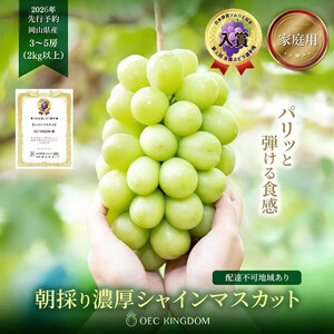 ぶどう 2026年 ［ご家庭用］ シャイン マスカット3～5房（合計2kg以上）【第1回全国ぶどう選手権入賞】｜ シャインマスカット