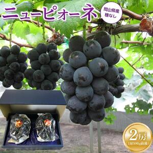 ぶどう 2026年 ニュー ピオーネ 2房（1房500g前後） 産地直送 ぶどう ピオーネ