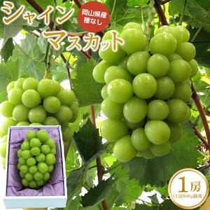 ぶどう 2026年 シャイン マスカット 1房（1房600g前後）産地直送 ぶどう シャインマスカット