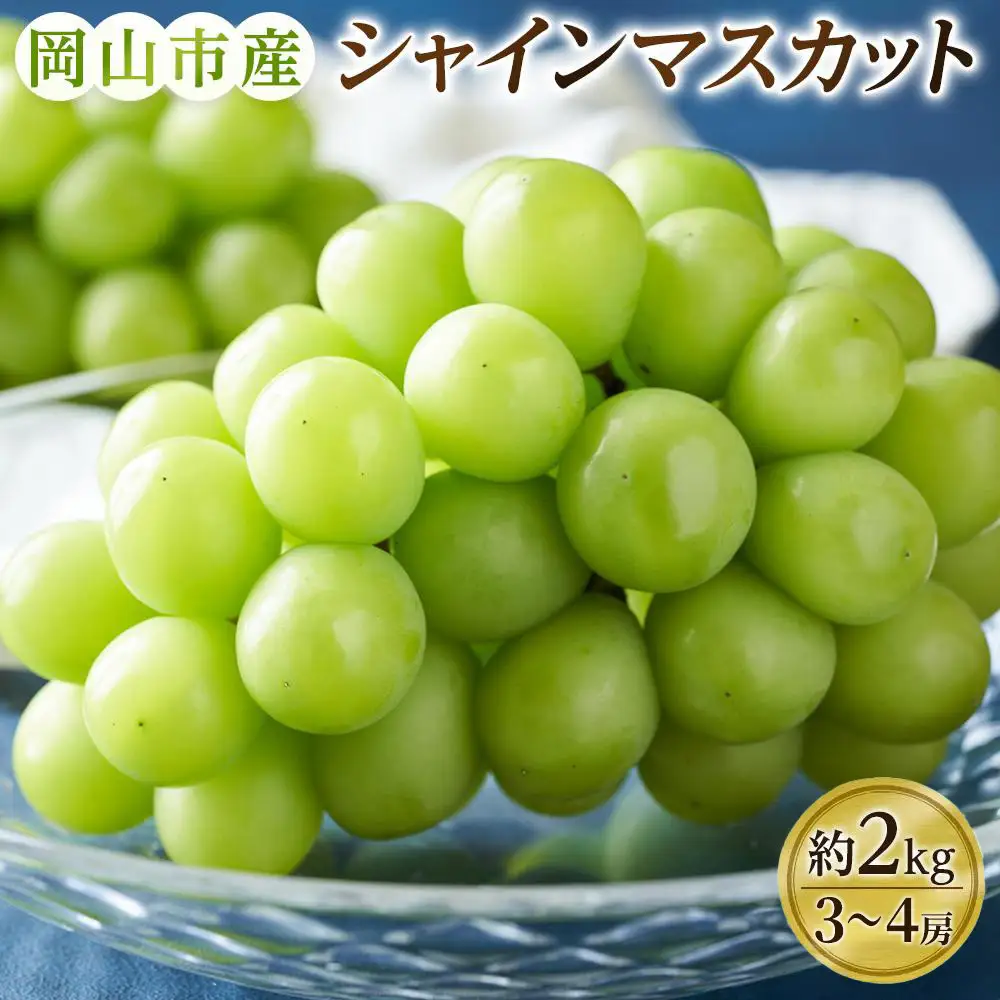 ぶどう 2026年 シャインマスカット 3～4房（約2kg） 葡萄 岡山市 産 フルーツ 果物 ギフト タンポポ農園 | シャインマスカット