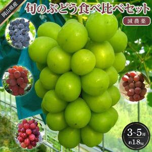 ぶどう 2026年  旬のぶどう食べ比べセット 約1.8kg 3～5房 減農薬 ハウス栽培 ブドウ 葡萄  岡山県産 国産 フルーツ 果物 ギフト ばんの農園