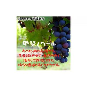 ぶどう 2026年  甲斐ノワール（ぶどう）約800g 農薬散布無し ハウス栽培  ブドウ 葡萄  岡山県産 国産 フルーツ 果物  ばんの農園