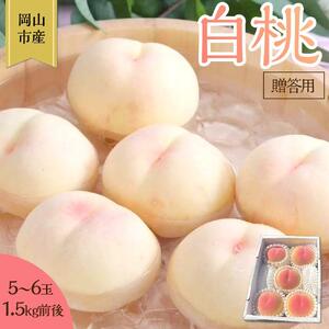 桃 2026年 贈答用 岡山 白桃 5玉～６玉 1.5kg 前後 もも 岡山県産 国産 フルーツ 果物 ギフト 雅桃園