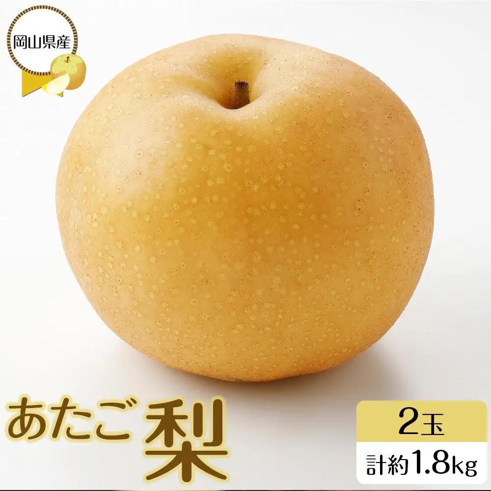 岡山県産 あたご 梨 2玉 合計約1.8kg 梨 なし 果物 フルーツ 2026年