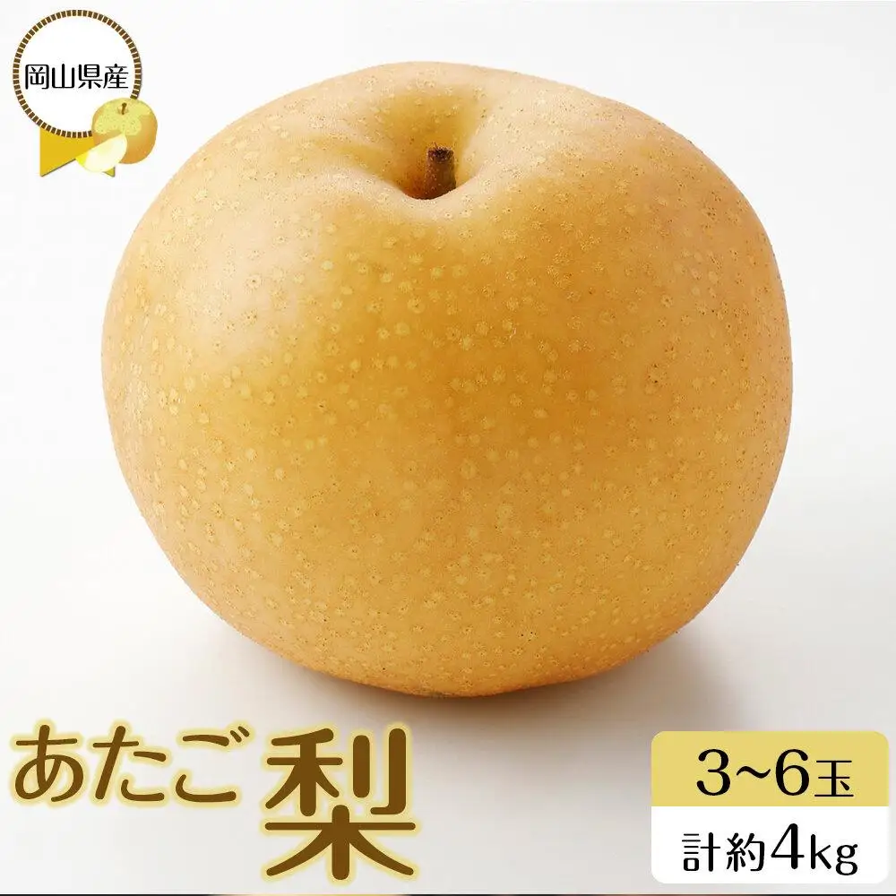 岡山県産 あたご 梨 3～6玉 合計約4kg 梨 なし 果物 フルーツ 2026年