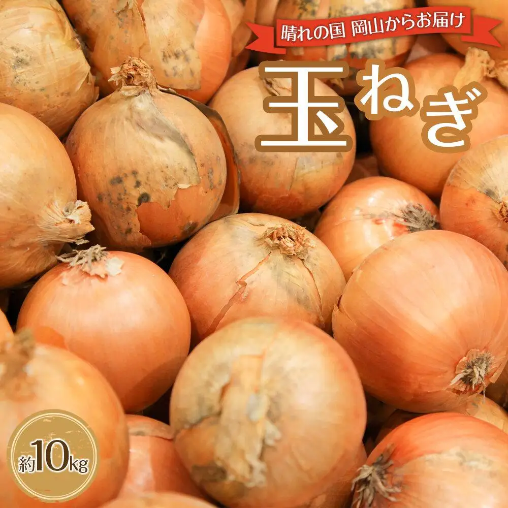 玉ねぎ 岡山市産 約10kg 2026年   野菜 たまねぎ タマネギ オニオン