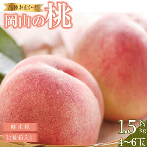 桃 2026年  岡山の桃（晩生種）約1.6kg 4~6玉 もも モモ 岡山県産 国産 フルーツ 果物 ギフト 横木農園