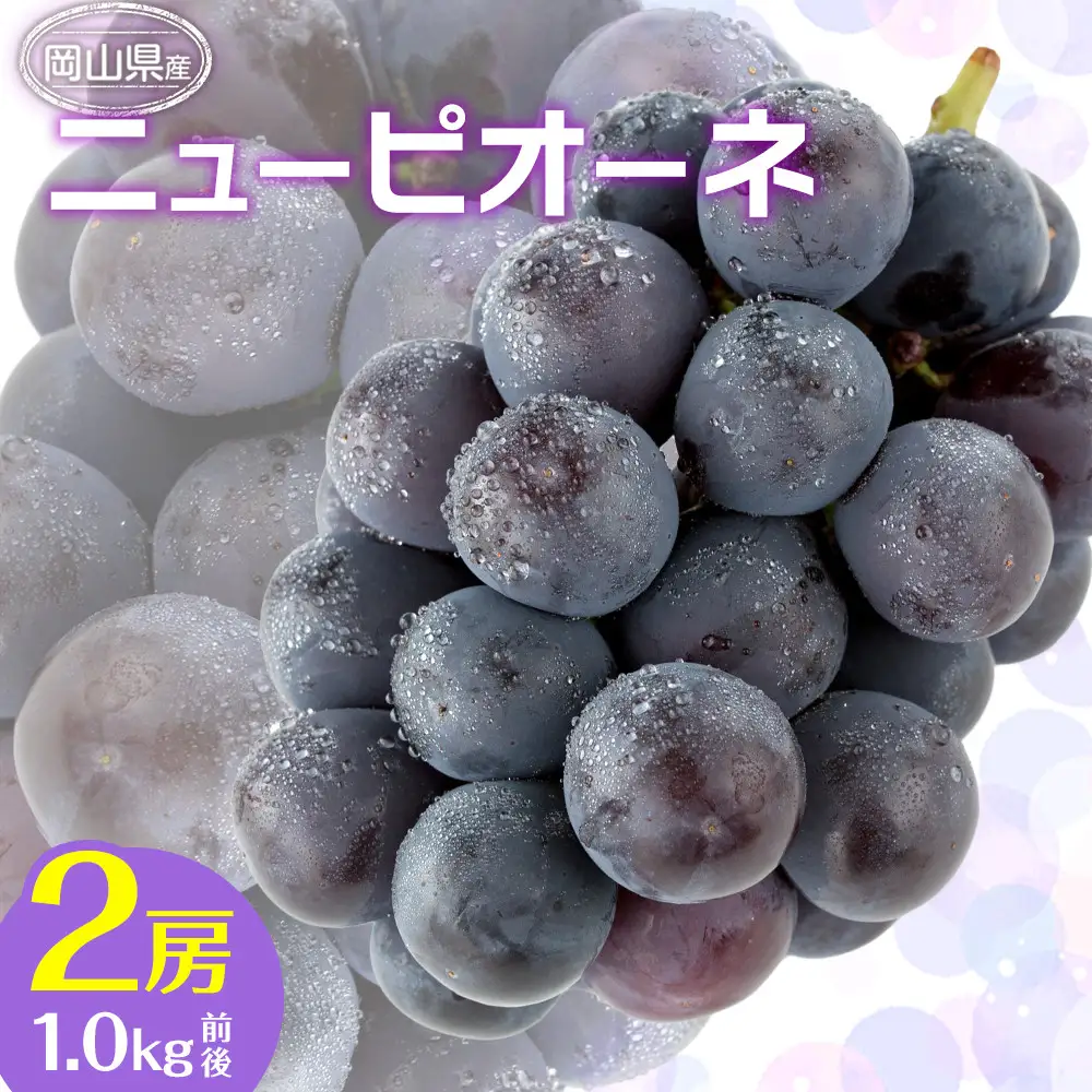 ぶどう 2026年  ニュー ピオーネ 2房 合計1.0kg前後 ブドウ 葡萄  岡山県産 国産 フルーツ 果物 ギフト