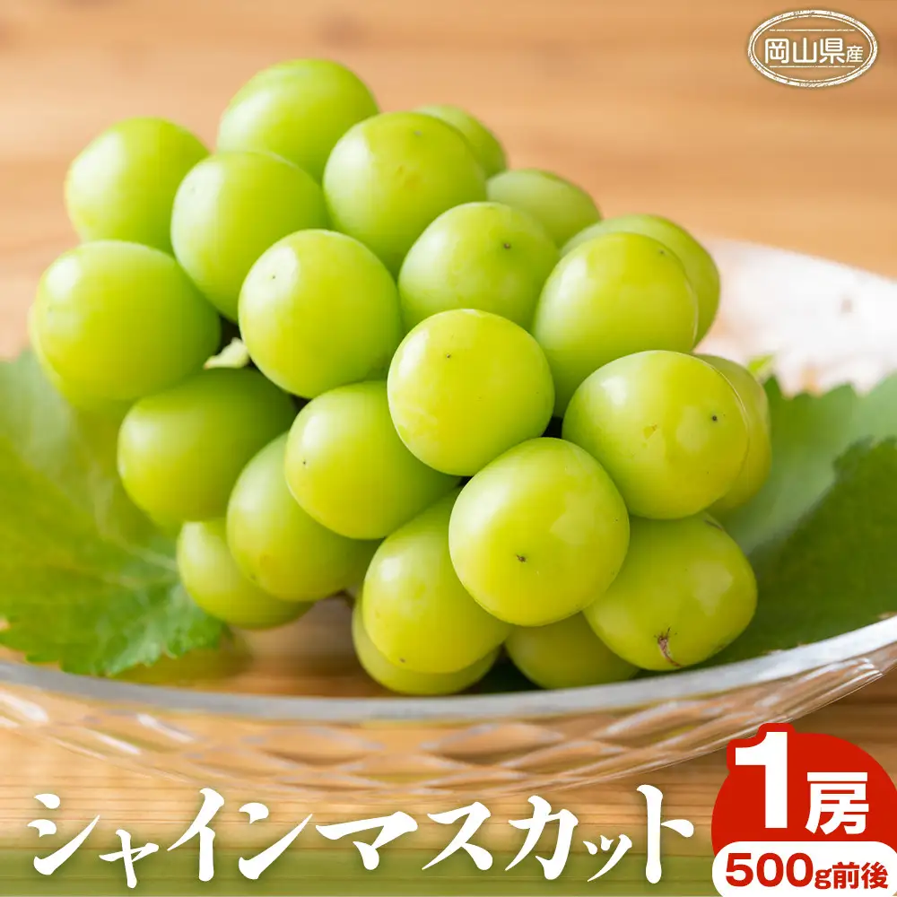 ぶどう 2026年 シャインマスカット 1房 500g前後 岡山県産