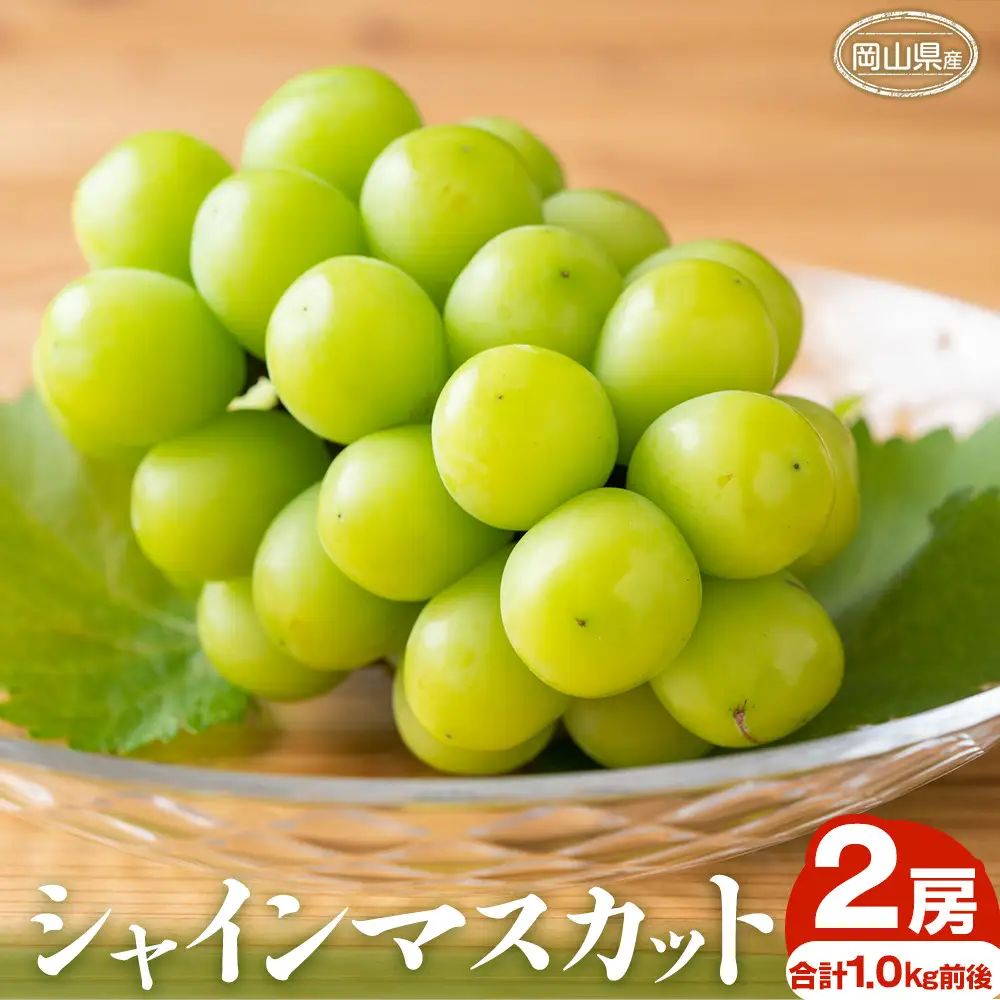 ぶどう 2026年 シャインマスカット 2房 合計1.0kg前後 岡山県産