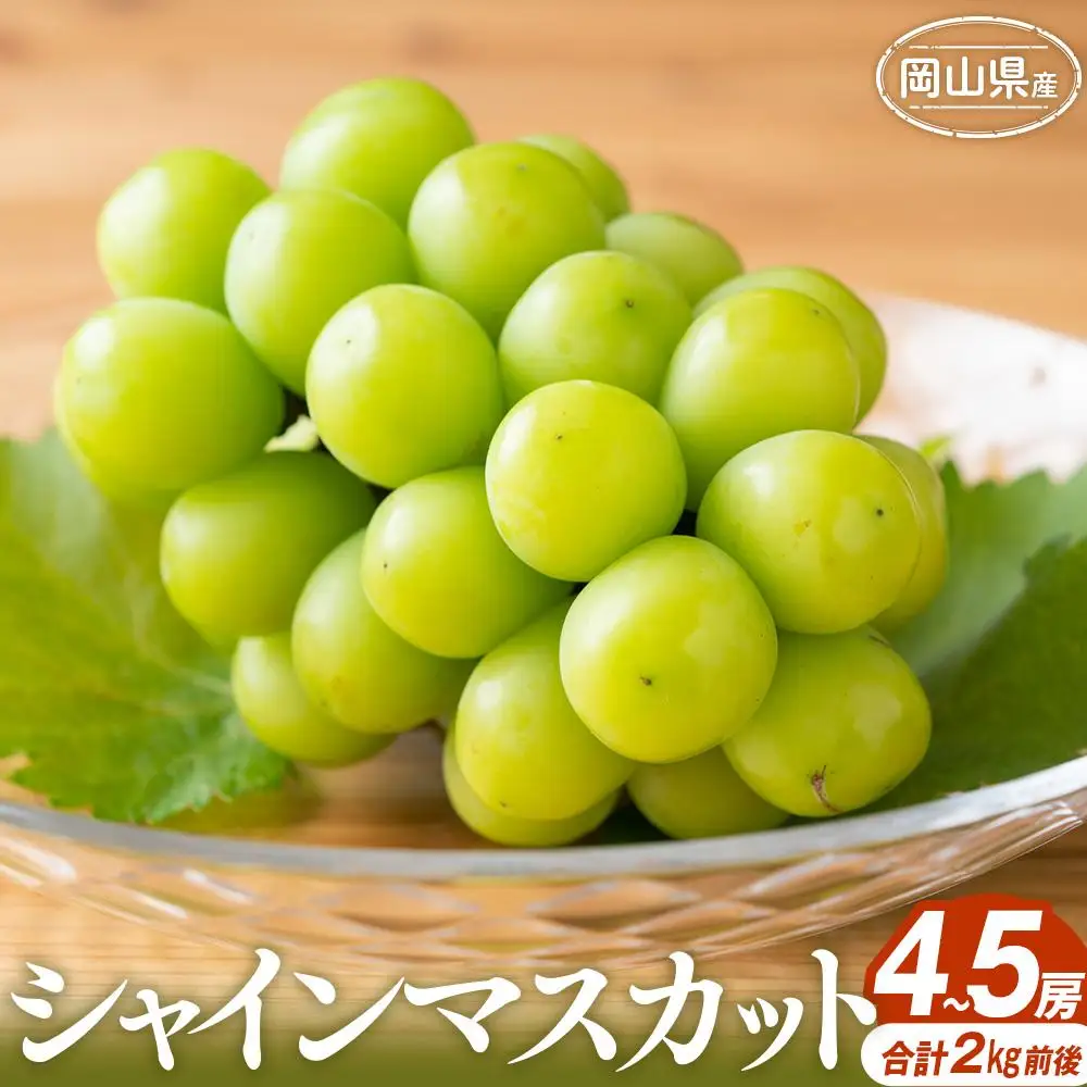 ぶどう 2026年 シャインマスカット 4～5房 合計2.0kg前後 岡山県産