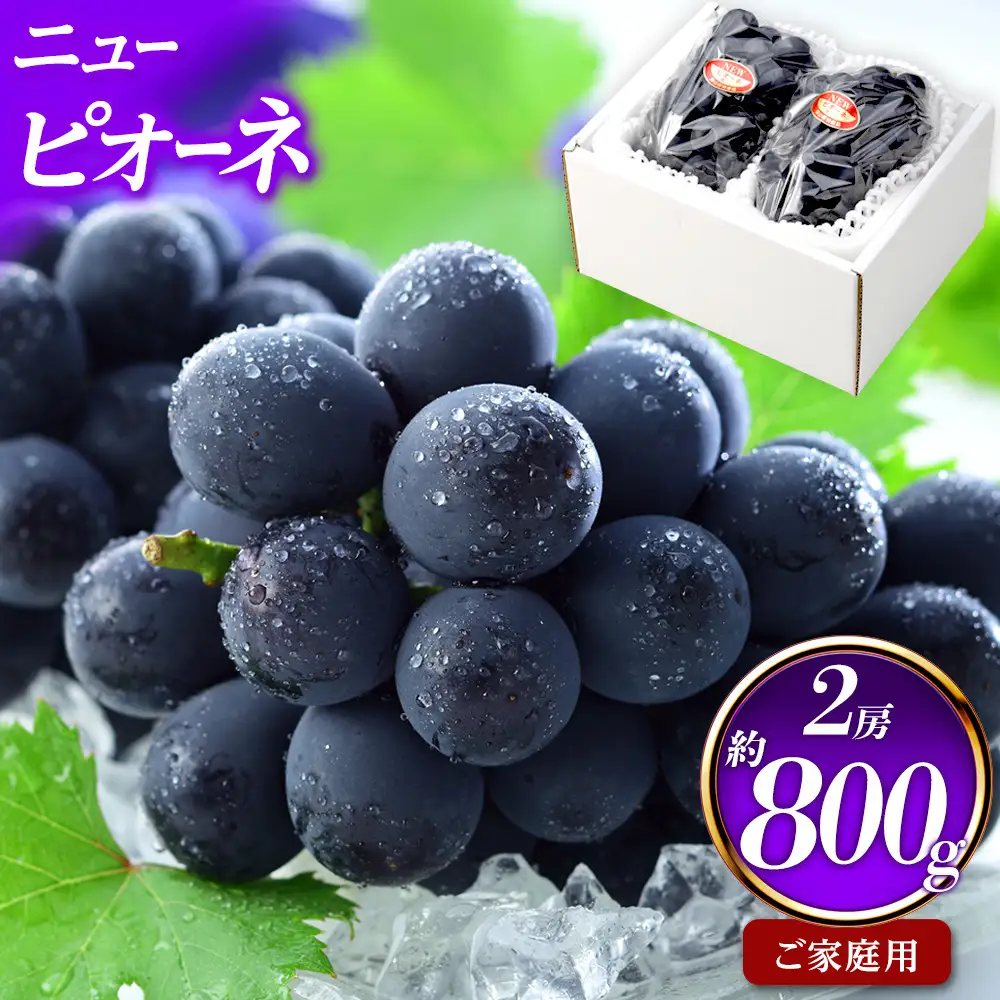 ご家庭用 ニュー ピオーネ 約400g×2房 岡山県産｜  ピオーネ