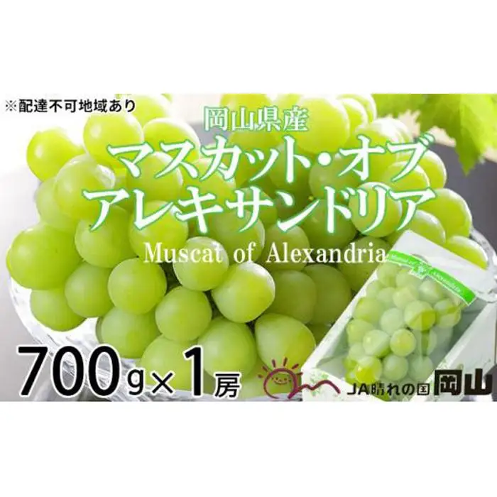 ぶどう 2026年 マスカット ・オブ・アレキサンドリア 約700g×1房 葡萄  岡山県産 国産 フルーツ 果物 ギフト | マスカット