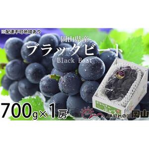 ぶどう 2026年 ブラックビート 約700g×1房 ブドウ 葡萄  岡山県産 国産 フルーツ 果物 ギフト