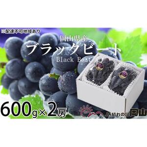 ぶどう 2026年 ブラックビート 約600g×2房 ブドウ 葡萄  岡山県産 国産 フルーツ 果物 ギフト