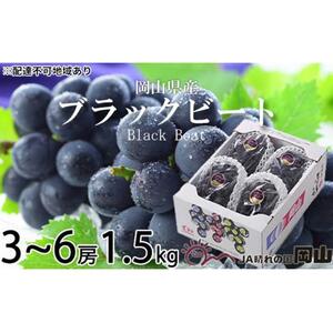 ぶどう 2026年 ブラックビート 約1.5kg 3房～6房 ブドウ 葡萄  岡山県産 国産 フルーツ 果物 ギフト