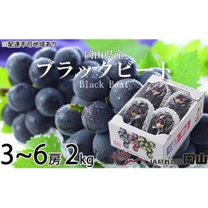 ぶどう 2026年 ブラックビート 約2kg 3房～6房 ブドウ 葡萄  岡山県産 国産 フルーツ 果物 ギフト