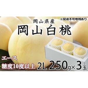 2026年  岡山   白 桃   エース 3玉×約250g（2Lサイズ）JAおかやま（早生種・中生種）｜ 桃　