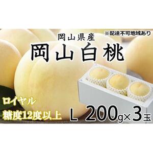 2026年  岡山   白 桃   ロイヤル 3玉×約200g（Lサイズ）JAおかやま（早生種・中生種）｜ 桃