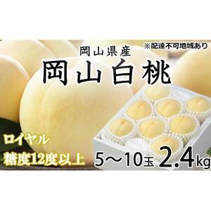 2026年  岡山   白 桃   ロイヤル 5～10玉 約2.4kg JAおかやま（早生種・中生種）｜ 桃
