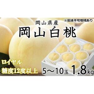 2026年 岡山   白 桃   ロイヤル 5～10玉 約1.8kg JAおかやま（早生種・中生種） ｜ 桃