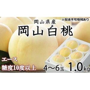 2026年  岡山   白 桃   エース 4～6玉 約1kg JAおかやま（早生種・中生種）｜ 桃