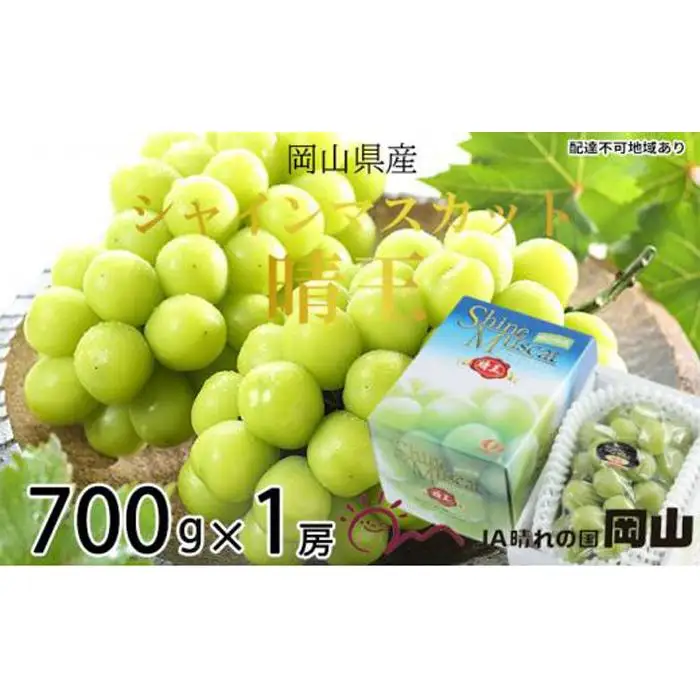 ぶどう 2026年 シャインマスカット 晴王 約700g×1房 葡萄  岡山県産 国産 フルーツ 果物 ギフト | シャインマスカット