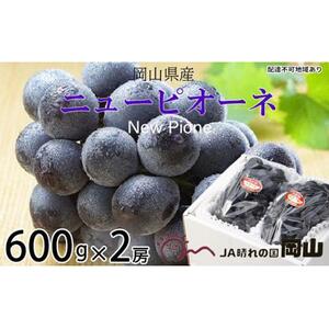 ぶどう 2026年  ニュー ピオーネ 約600g×2房 ブドウ 葡萄  岡山県産 国産 フルーツ 果物 ギフト