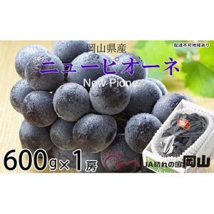 ぶどう 2026年  ニュー ピオーネ 約600g×1房 ブドウ 葡萄  岡山県産 国産 フルーツ 果物 ギフト