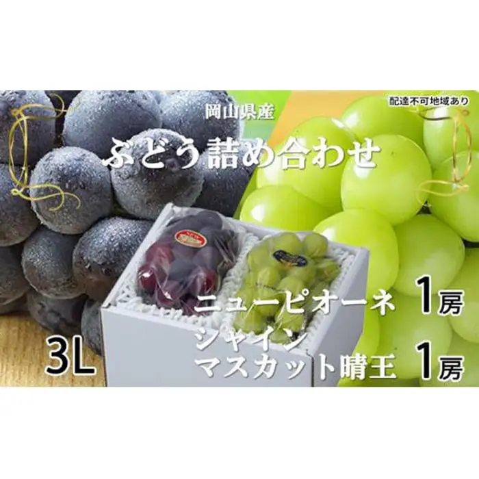 ぶどう 2026年  ニュー ピオーネ 1房 約600g シャインマスカット 晴王 1房 約600g（3Lサイズ）詰め合わせ 岡山県産 国産 フルーツ 果物 ギフト | シャインマスカット