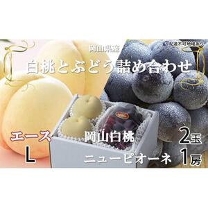 桃 ぶどう 2026年 岡山 白桃 エース 2玉×約200g（Lサイズ、早生種・中生種）ニュー ピオーネ 1房約400g 詰め合わせ 岡山県産 フルーツ