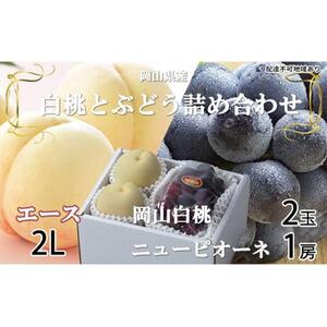 桃 ぶどう 2026年 岡山 白桃 エース 2玉×約250g（2Lサイズ、早生種・中生種）ニュー ピオーネ 1房約500g  詰め合わせ 岡山県産 フルーツ