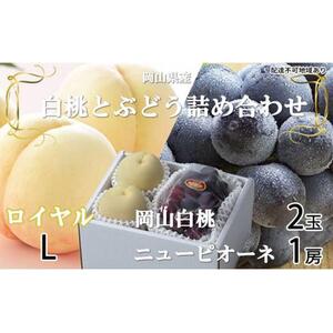 桃 ぶどう 2026年 岡山 白桃 ロイヤル 2玉×約200g（Lサイズ、早生種・中生種）ニュー ピオーネ 1房約400g 詰め合わせ 岡山県産 フルーツ