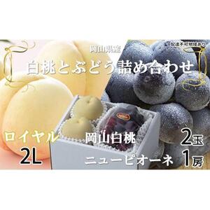 桃 ぶどう 2026年 岡山 白桃 ロイヤル 2玉×約250g（2Lサイズ、早生種・中生種）ニュー ピオーネ 1房約500g 詰め合わせ 岡山県産 フルーツ
