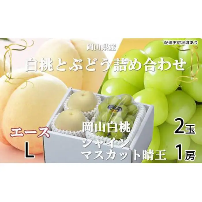 ぶどう 2026年 岡山 白桃 エース 2玉×約200g（Lサイズ、早生種・中生種） シャインマスカット 晴王 1房約400g 詰め合わせ フルーツ | シャインマスカット