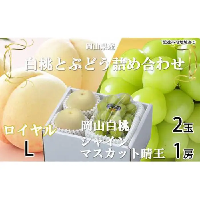 ぶどう 2026年 岡山 白桃 ロイヤル 2玉×約200g（Lサイズ、早生種・中生種） シャインマスカット 晴王 1房約400g 詰め合わせ フルーツ | シャインマスカット