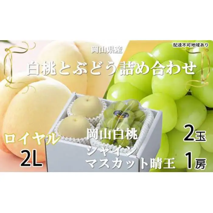 ぶどう 2026年 岡山 白桃 ロイヤル 2玉×約250g（2Lサイズ、早生種・中生種） シャインマスカット 晴王 1房約500g 詰め合わせ 岡山県産 フルーツ | シャインマスカット