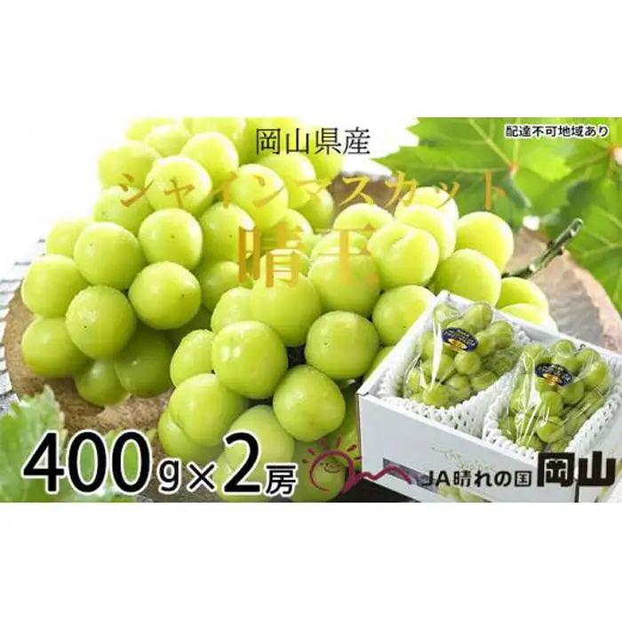 ぶどう 2026年 シャインマスカット 晴王 約400g×2房 ブドウ 葡萄  岡山県産 国産 フルーツ 果物 ギフト | シャインマスカット