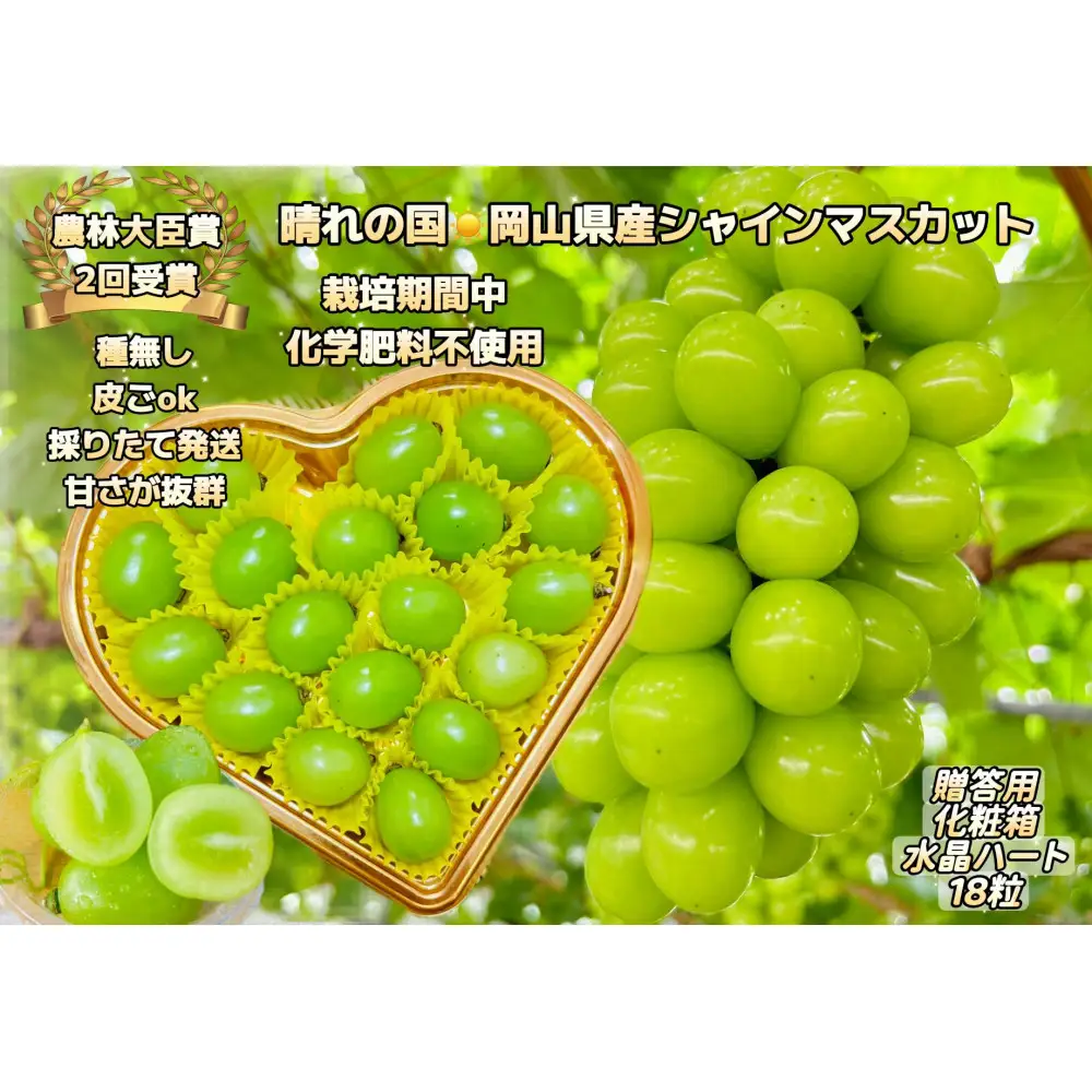 ぶどう 2026年  シャインマスカット 大粒厳選秀品18粒 宝石箱  農林大臣賞2回受賞 ギフト 贈答用 贈り物 岡山 果物 フルーツ  採りたて発送 農家直送 数量限定 新鮮 水晶ハート化粧箱