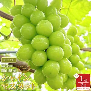 ぶどう 2026年  シャインマスカット 秀品 約1kg 合計2房  農林大臣賞2回受賞  家庭用 ギフト 贈答用 贈り物 岡山 果物 フルーツ 採りたて発送 農家直送 数量限定 新鮮
