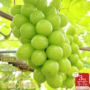ぶどう 2026年  シャインマスカット 厳選 秀品 約3kg 合計5～7房 農林大臣賞受賞  家庭用 ギフト 贈答用 贈り物 岡山 果物 フルーツ  採りたて発送 農家直送 数量限定 新鮮