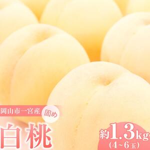 2026年  先行予約 ご家庭用 岡山市一宮産   白 桃   固め（晩生種）約1.3kg 4～6玉  ｜ 桃