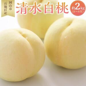 桃 2026年 清水 白桃 6～8玉入 約2.0kg 岡山市一宮地区産 もも モモ フルーツ 果物 ギフト