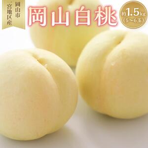 桃 2026年 岡山 白桃 5～6玉入 約1.5kg 岡山市一宮地区産 もも モモ フルーツ 果物 ギフト