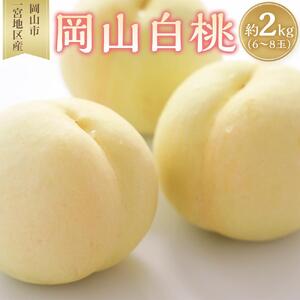 桃 2026年 岡山 白桃 6～8玉入 約2.0kg 岡山市一宮地区産 もも モモ フルーツ 果物 ギフト