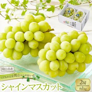 ぶどう 2026年 シャイン マスカット 2房 合計約1kg  種無し ブドウ 葡萄 岡山市産 国産 フルーツ 果物 渡邊農園