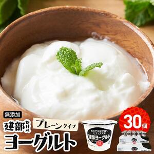 無添加　建部ヨーグルト（プレーンタイプ）30個