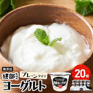 無添加　建部ヨーグルト（プレーンタイプ）20個