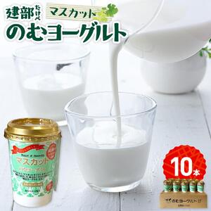 建部のむヨーグルト（マスカット）10本