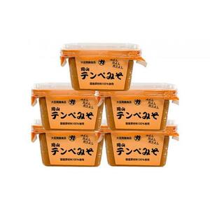 岡山テンペみそ 300g×5個